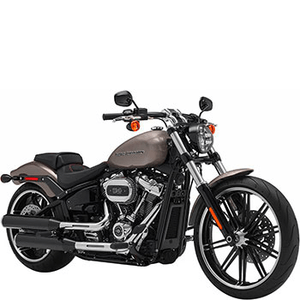 HARLEY-DAVIDSON SOFTAIL BREAKOUT (114 CUI)