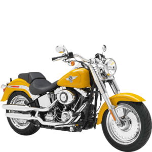 HARLEY-DAVIDSON FAT BOY/FAT BOY SPECIAL (FLSTFB)