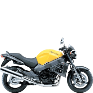 HONDA X-ELEVEN (CB 1100 SF)
