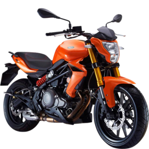 BENELLI BN 302