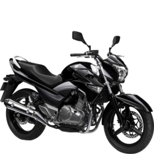 SUZUKI INAZUMA 250/F