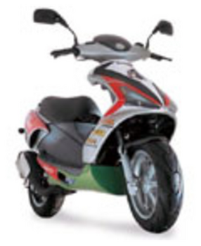 BENELLI 491 REPLICA
