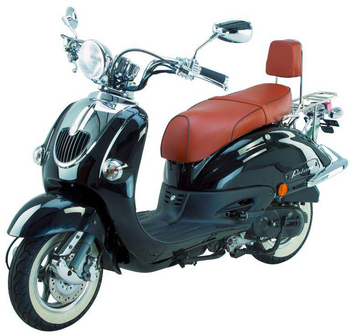 REX PALERMO 50