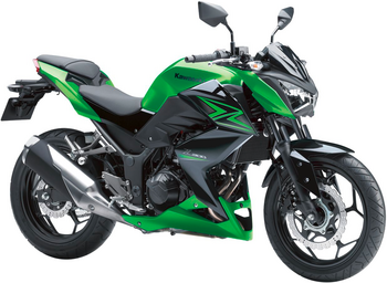 KAWASAKI Z 300