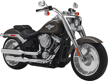 HARLEY-DAVIDSON SOFTAIL FAT BOY (107 CUI)