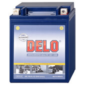 BATTERIE GEL DELO