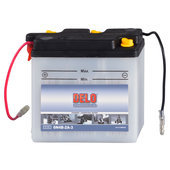 DELO STANDARD BATTERY