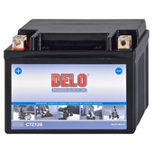 DELO BATTERY MF