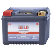 DELO LITHIUM-ION BATTERY