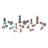 Special-Screws for Brake-Discs