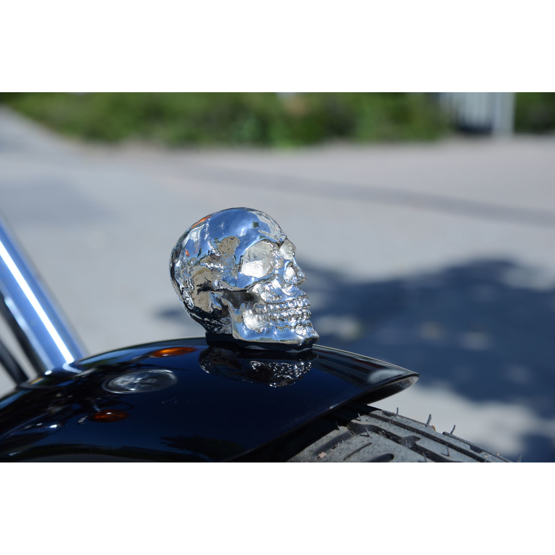 SKULL DECORATIVE FIGURES