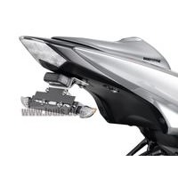 LICENSE PLATE HOLDER