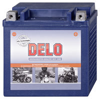 DELO HD GEL-BATTERIE