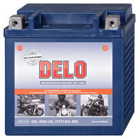 DELO HD GEL-BATTERIE