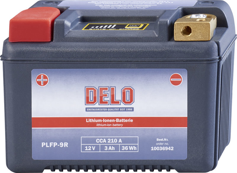 DELO LITHIUM-ION BATTERY